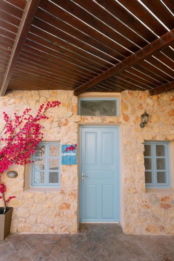 كارتيرادوس Villa Antheia المظهر الخارجي الصورة