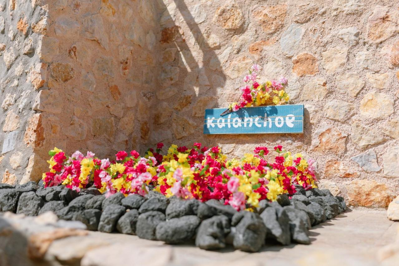 كارتيرادوس Villa Antheia المظهر الخارجي الصورة